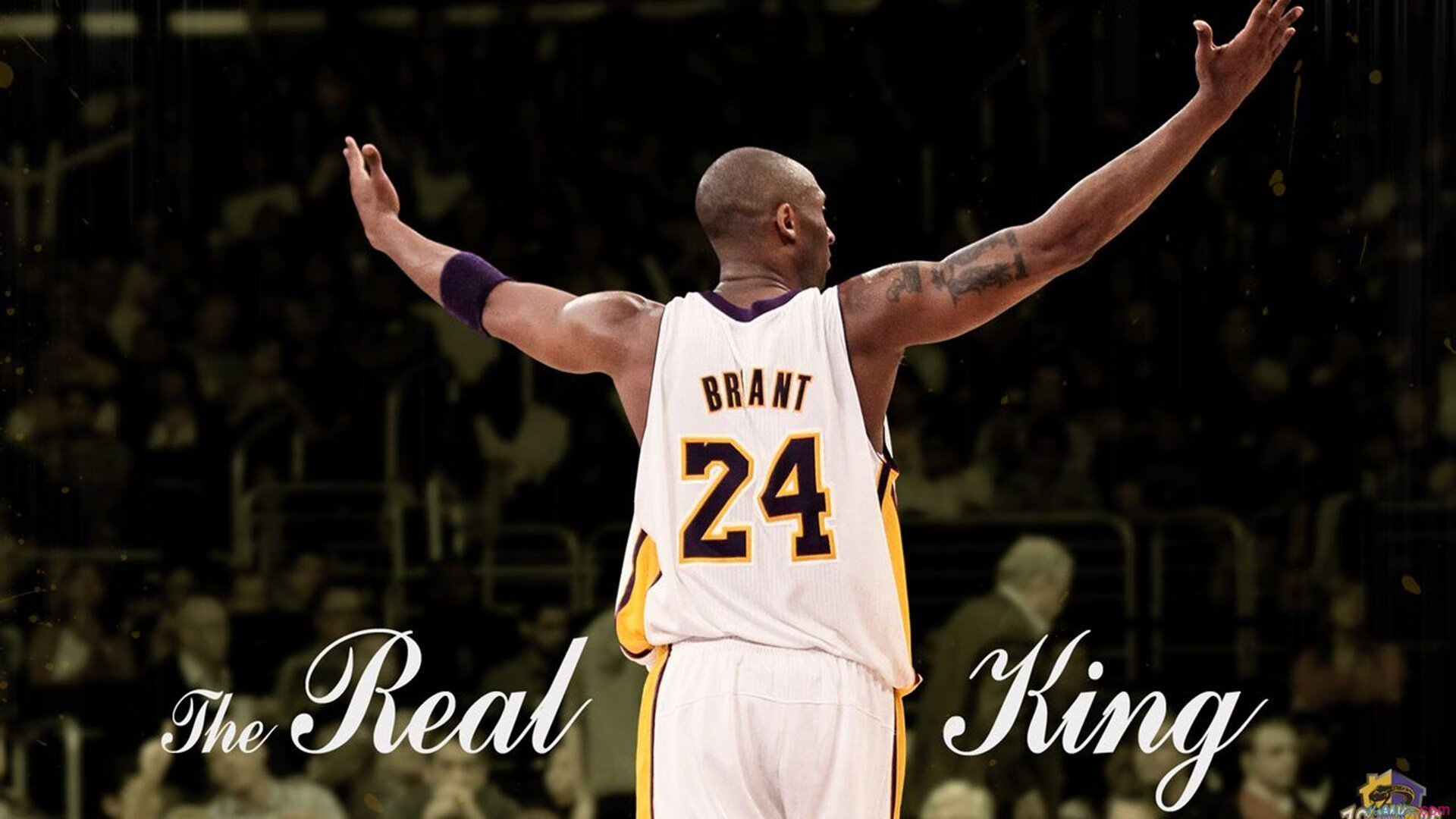 凯尔特人教练马祖拉在马刺呆过吗